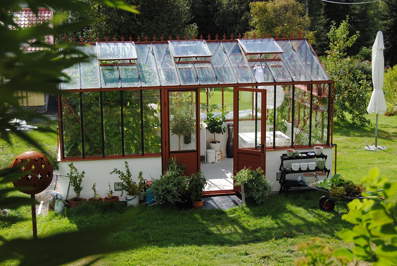 How to Set Up a DIY Greenhouse for Winter Vegetables